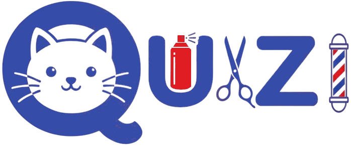 Quizi Logo